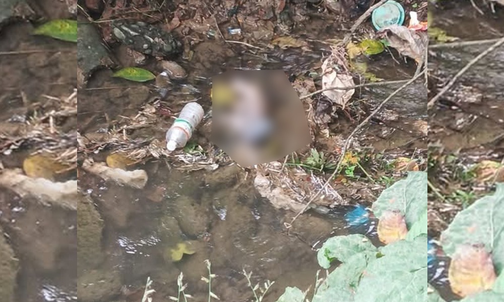 নামৰূপত কৰুণ ঘটনা! নৰ্দমাত নৱজাতকৰ মৃতদেহ উদ্ধাৰ