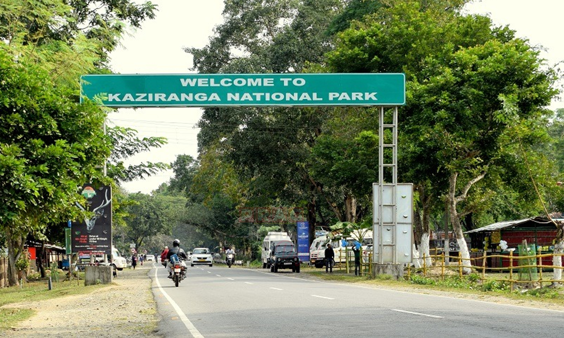 পৰ্যটকৰ বাবে মুকলি হ'ল কাজিৰঙাৰ কেন্দ্ৰীয় বনাঞ্চল কঁহৰা