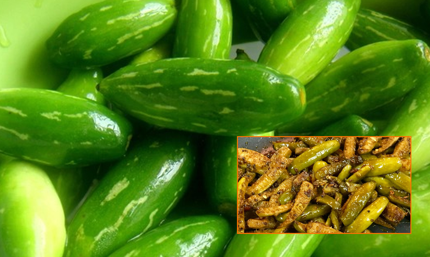 Ivy Gourd: The Wonder Vine Packed with Medicinal Benefits