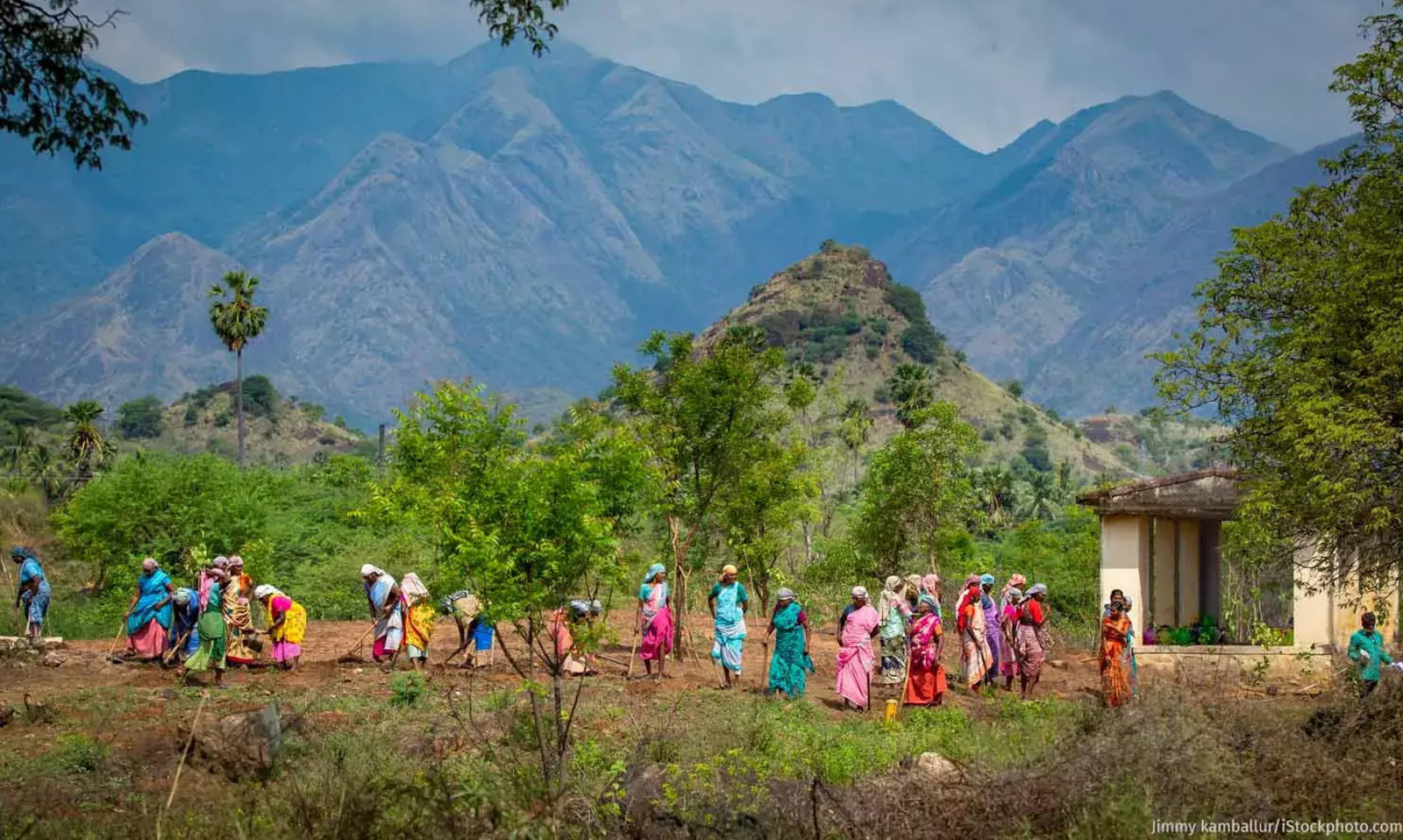এম জি এনৰেগাৰ ডাটাবেছৰ পৰা প্ৰায় ২৭ লাখ শ্রমিকৰ নাম কৰ্তন