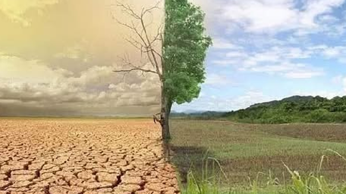 জলবায়ু পৰিৱৰ্তনে বিপদ মাতিছে অসমলৈ, ২৭৩ দিনৰ ভিতৰত ১১৩ দিনেই সম্মুখীন হৈছে চৰম দুৰ্যোগৰ