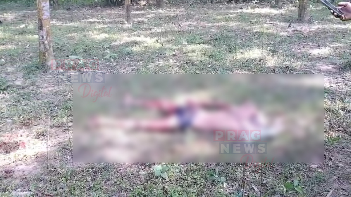 গোৱালপাৰাত বনৰীয়া হাতীৰ আক্ৰমণত এজনৰ মৃত্যু; অতৰ্কিতে আক্ৰমণ কৰি ল’লে প্ৰাণ