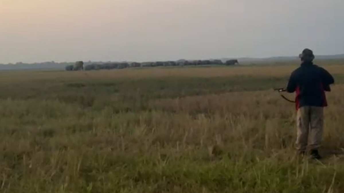 কামপুৰত বন্যহস্তীৰ সন্ত্ৰাস ; বন্যহস্তীৰ আক্ৰমণত নিহত এগৰাকী মহিলা