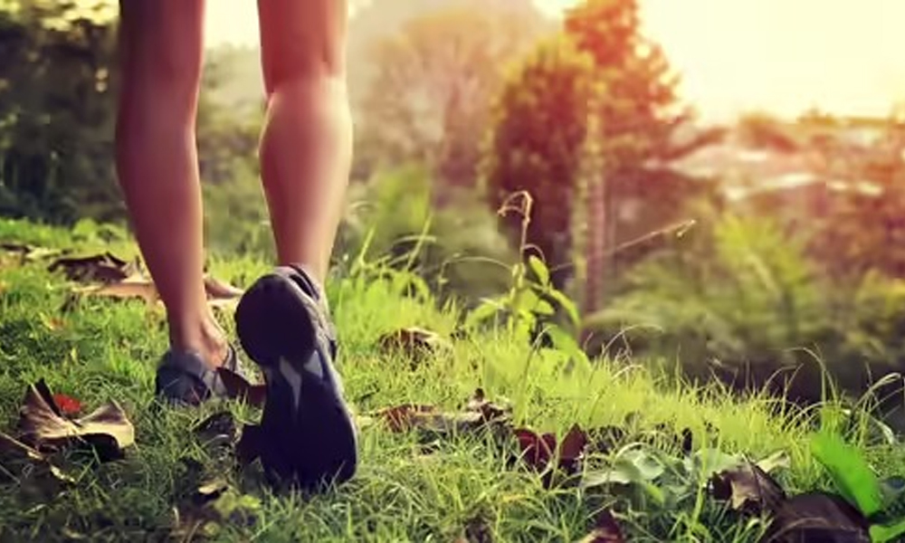 শীতকালত মৰ্ণি ৱাক নে ইভিণিং ৱাক! ওজন কমোৱাত কোনটো সঠিক ?