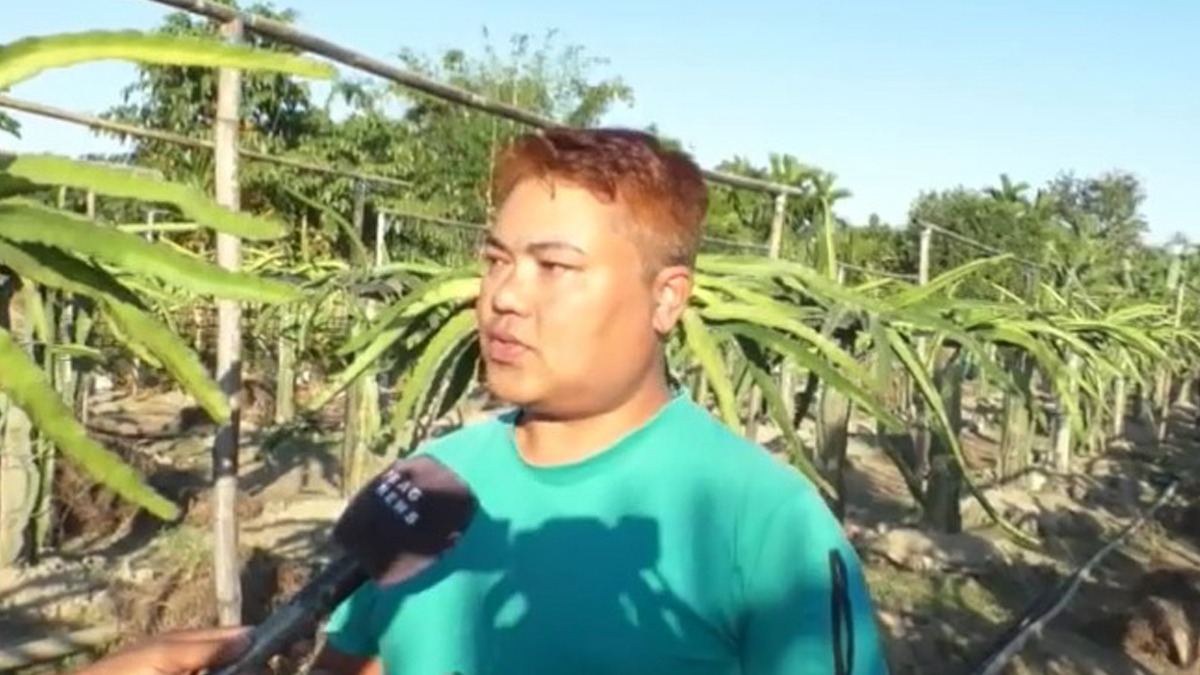 ড্ৰেগন খেতিৰে স্বাৱলম্বিতাৰ নিদৰ্শন ধেমাজিৰ শশাংকৰ সোণোৱালৰ