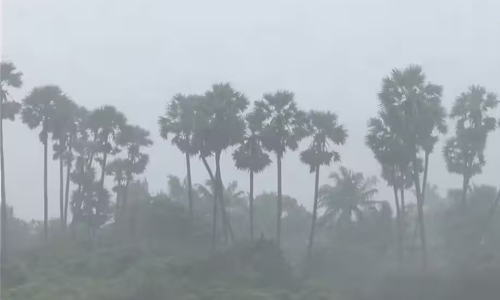 শ্ৰীলংকাৰ পাছত এতিয়া  দক্ষিণ ভাৰতত দিত্বাহৰ বিধ্বংসী ৰূপ! গুজৰাটৰ পৰা চেন্নাইলৈ বিমানেৰে ৰাওনা NDRF বিশেষ দল