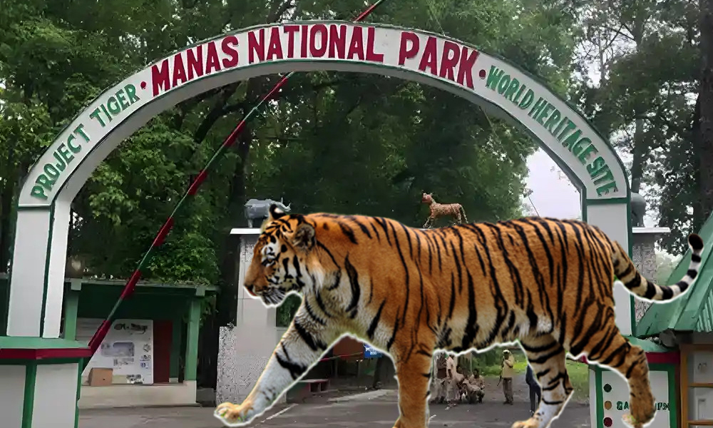 Wildlife Documentary on Manas National Park: Wok Progressing at Full Speed