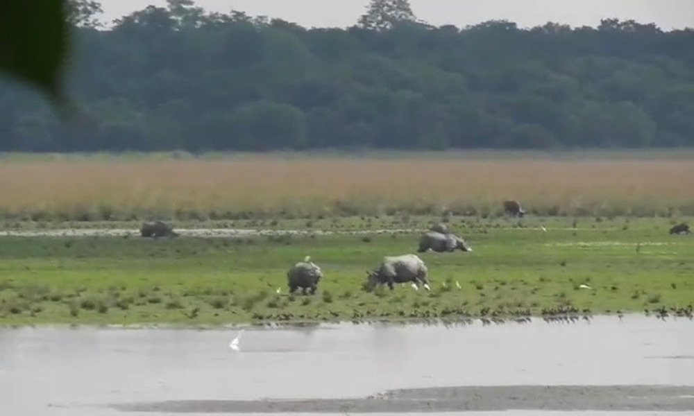 যাদুনগৰী মায়ঙৰ পবিতৰা অভয়াৰণ্যৰ দৃষ্টিনন্দন দৃশ্য