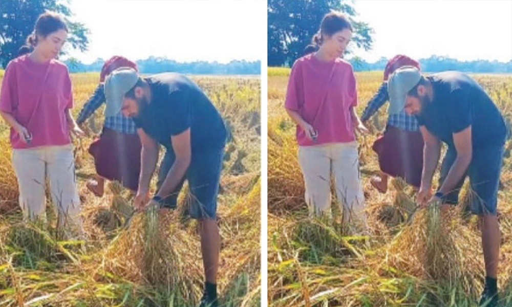 আঘোণৰ পথাৰত ধান কাটি আপোনপাহৰা ইজৰাইলৰ পৰ্যটক