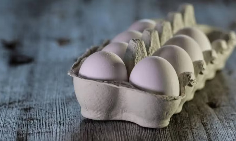 দৈনিক দুটাকৈ কণী খালে কি হ’ব? আপুনি আপোনাৰ শৰীৰত এই প্ৰভাৱবোৰ দেখিব