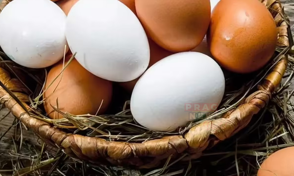 What Happens When You Eat Two Eggs a Day?