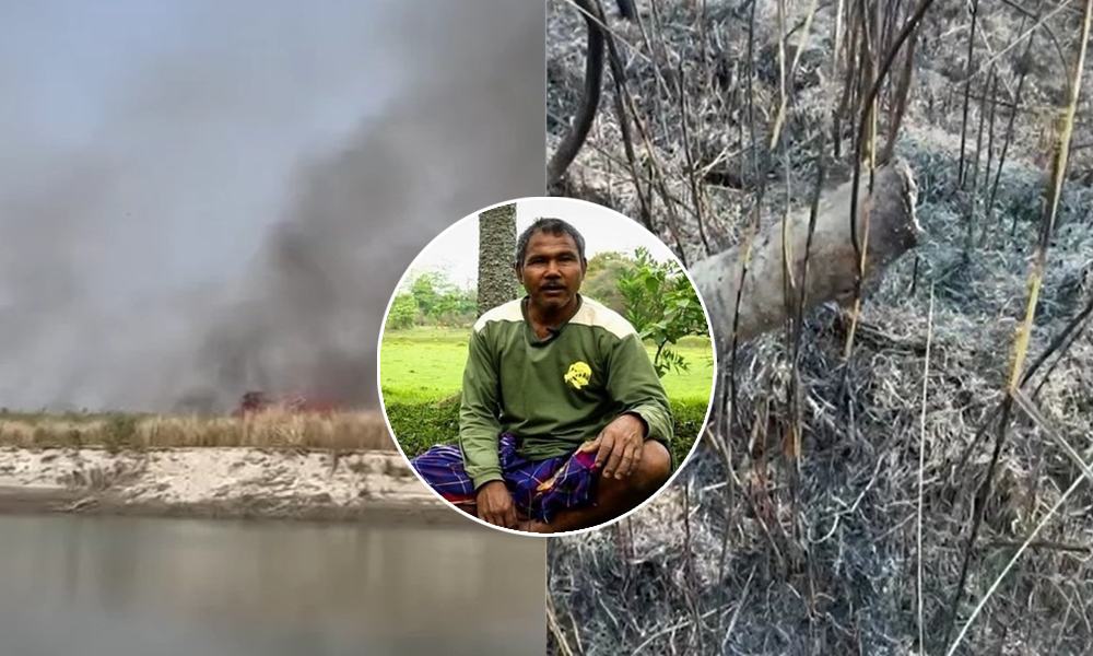 Miscreants Set Fire to Jadav Payeng's Molai Kathoni 2.0
