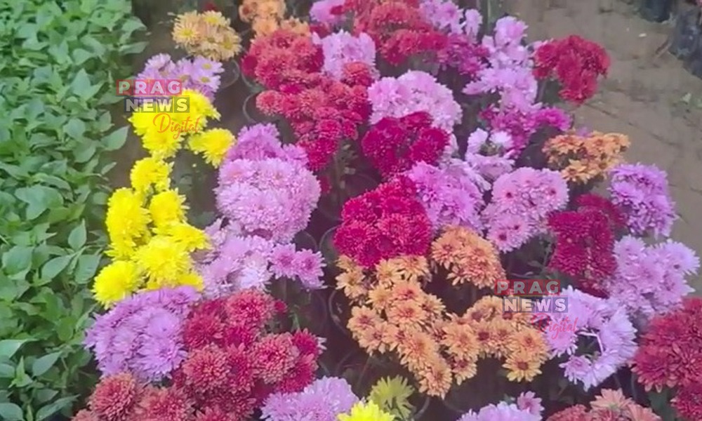 খুমটাইৰ মুৰফুলনীত চাৰিদিনীয়াকৈ অনুষ্ঠিত গছ আৰু ফুলৰ উৎসৱ