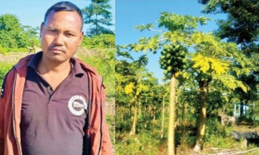 বৰ লুইতৰ পাৰৰ আৰনে চাপৰিত সেউজ বিপ্লৱ, আত্মনিৰ্ভৰশীল কৃষক ভুবন পেগুৰ কথাৰে...