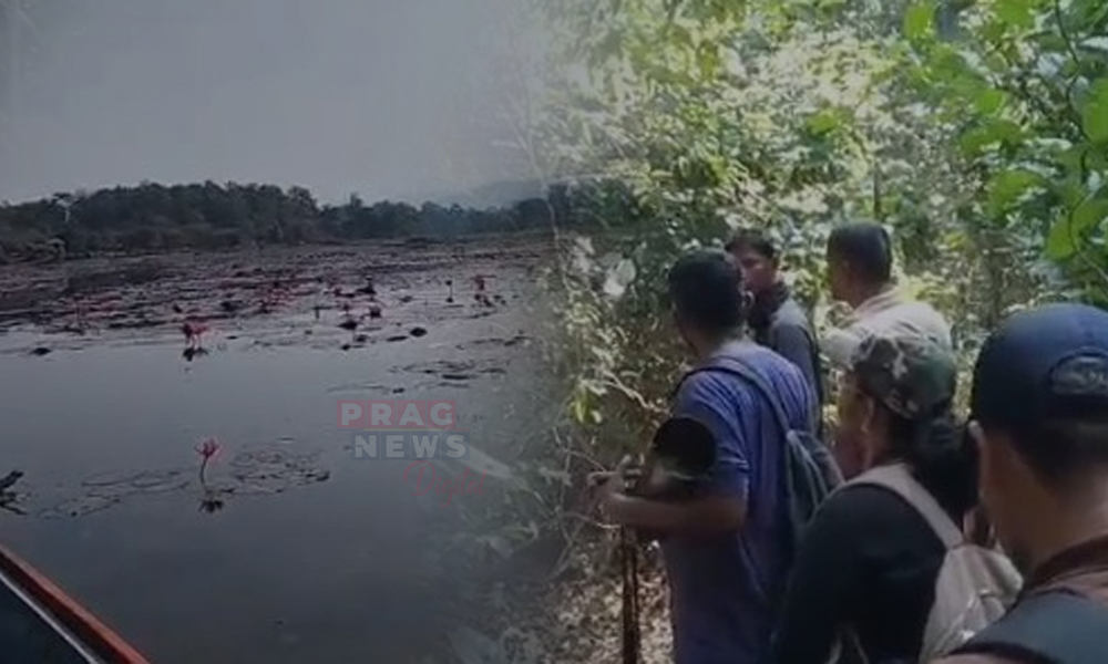 Chandubi Bird Census Begins: Experts and Locals Join Forces to Count Avian Species