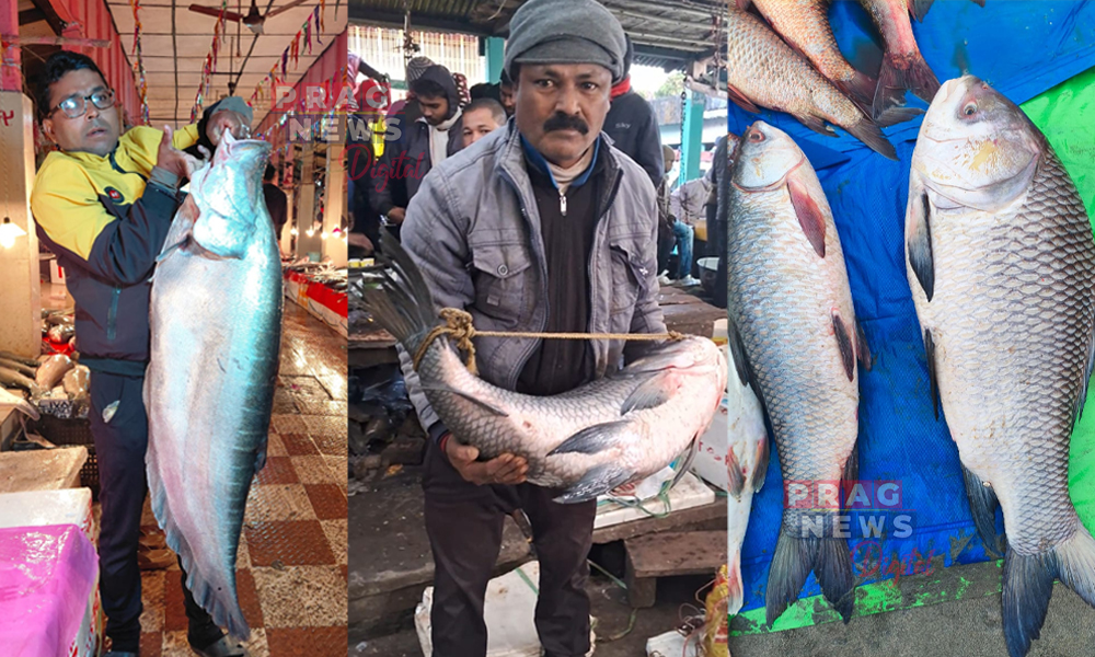 Bhogali Bihu Markets See Record-Sized Fish, Prices Soar Across Assam