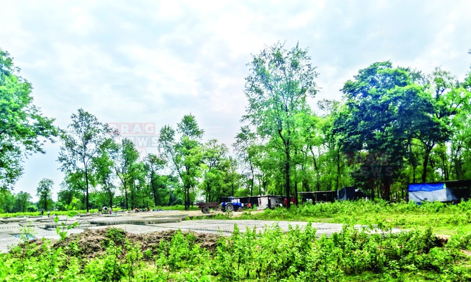 ‘দীৰ্ঘা চয়েল’ বনাঞ্চললৈ ভয়াৱহ ভাবুকি, লখিমপুৰৰ দীৰ্ঘা মাজগাঁৱৰ বনানীকৰণ ভূমিত অবৈধ নির্মাণকার্য