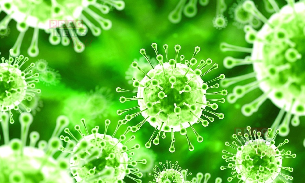 ৫ ভাৰতীয়ৰ দেহত 'নিপা' ভাইৰাছ, এছিয়াৰ বিমান বন্দৰত বিশেষ পৰীক্ষণ