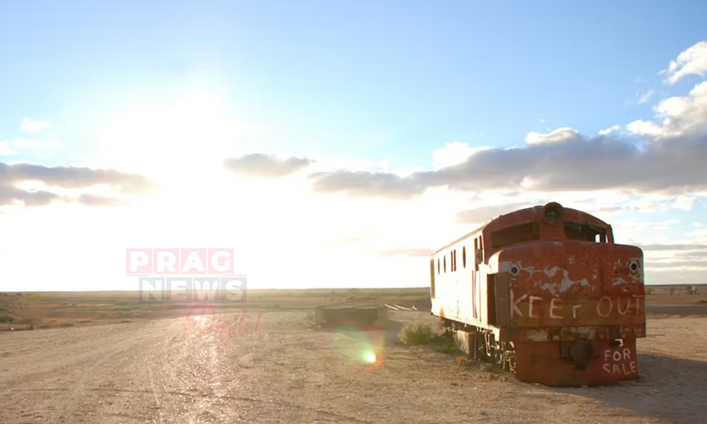 প্রচণ্ড গ্রীষ্ম প্ৰৱাহত স্তব্ধ অষ্ট্ৰেলিয়াৰ জনজীৱন, তাপমাত্রা ৫০ ডিগ্রী চেলছিয়াছ পর্যন্ত বৃদ্ধি