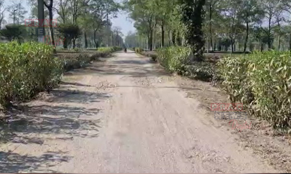Bad Roads Turn Daily Commute into Ordeal for Misa Tea Garden Workers