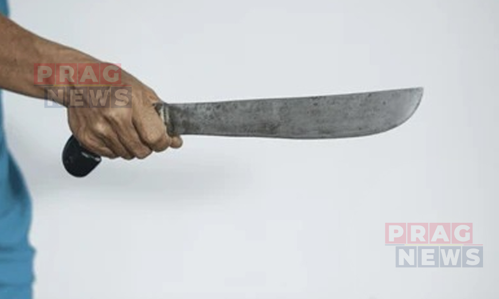 Rajasthani Man Brutally Attacks Step-Daughter and her Aunt with Machete in Charaideo