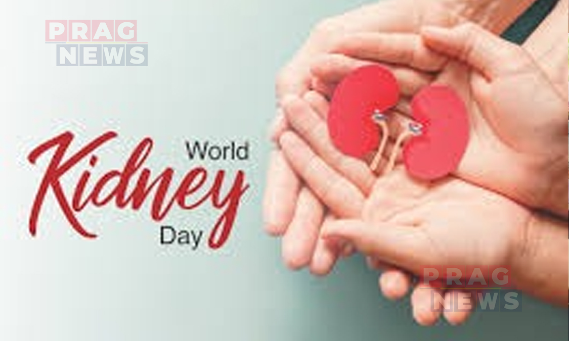 World Kidney Day 2026: Experts Urge Early Detection as Chronic Kidney Disease Affects 1 in 10 People