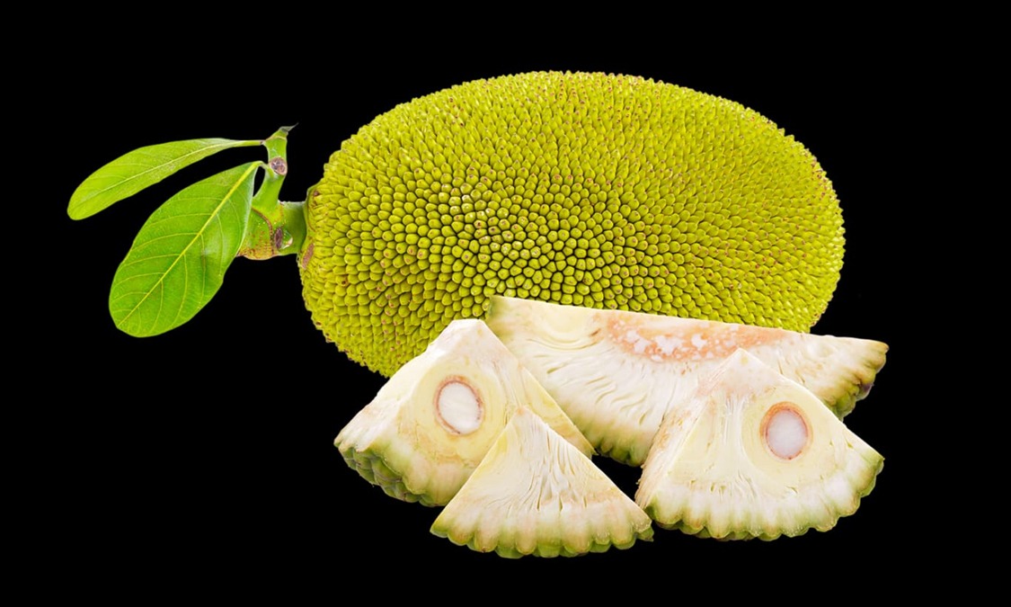 অনেক উপকাৰী গুণেৰে সমৃদ্ধ কঁঠালৰ মুচি; খাওক আৰু সুস্বাস্থ্য গঢ়ি তোলক