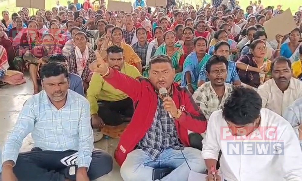 বৰহাট চাহ বাগিচাত উত্তপ্ত পৰিস্থিতি; চাহপাত চোৰৰ আক্ৰমণত আহত ১০জনকৈ চাহ শ্ৰমিক, এজনৰ অৱস্থা সংকটজনক