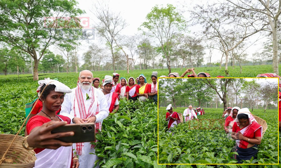 PM Modi Visits Dibrugah Tea Garden, Interacts with Women Workers This Morning
