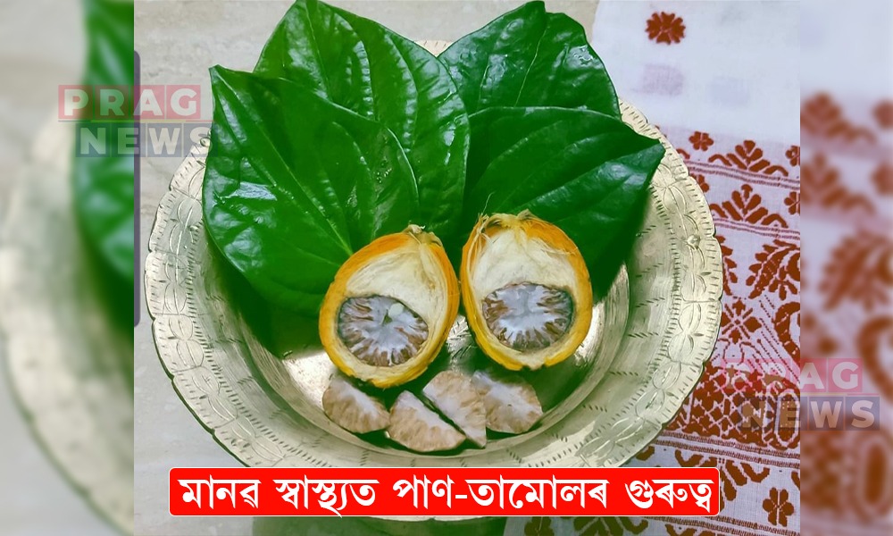 অসমীয়া সংস্কৃতিৰ অপৰিহাৰ্য অংগ পাণ-তামোলৰ স্বাস্থ্য উপকাৰিতা কি কি?