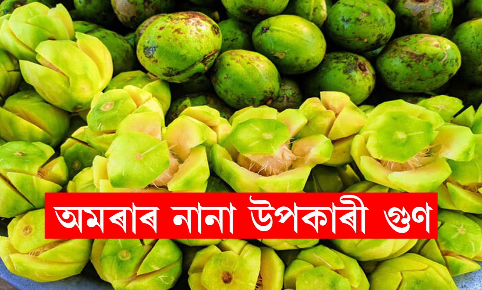 বহু ঔষধি গুণেৰে সমৃদ্ধ অমৰা; বিতংকৈ জানো আহক