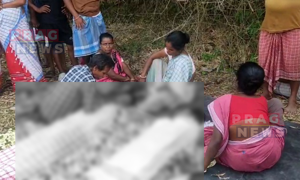 মৰ্মান্তিক; গৰু গা ধোৱাবলৈ গৈ যমজ ভাতৃদ্বয়ৰ মৃত্যু