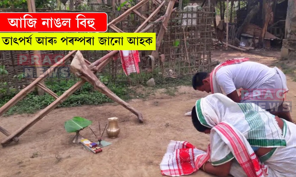 আজি নাঙল বিহু; এই বিহু কিয় পালন কৰা হয় জানেনে আপুনি?