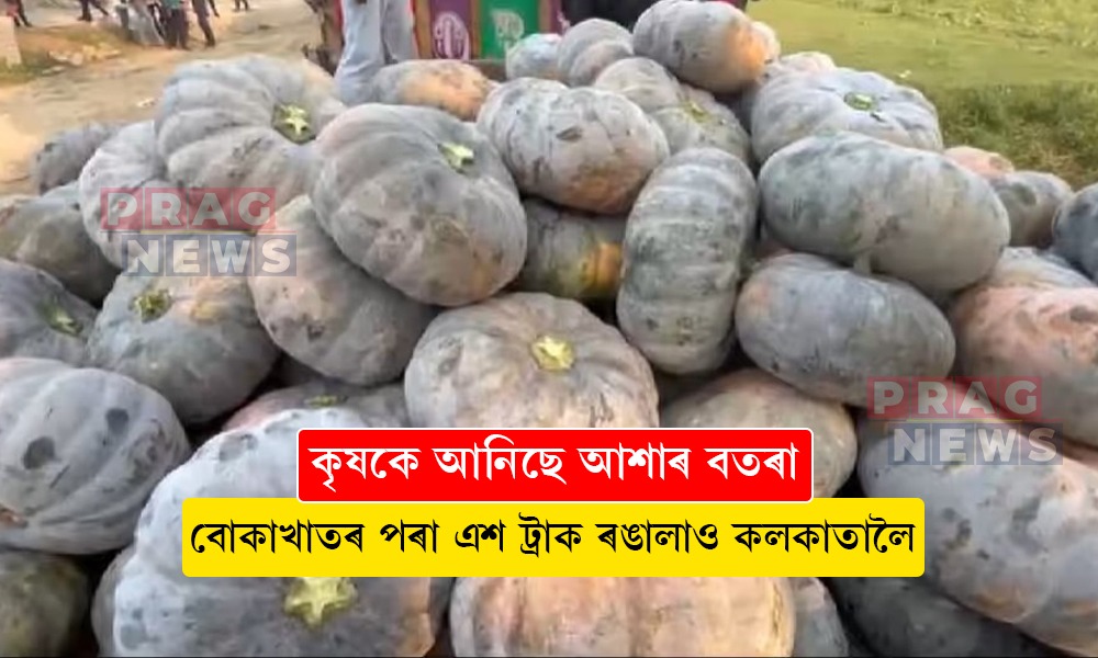 এশ ট্রাক ৰঙালাও কলকাতালৈ! ৰঙালাওৱে বোকাখাতৰ কৃষকৰ মুখত বিৰিঙাইছে হাঁহি