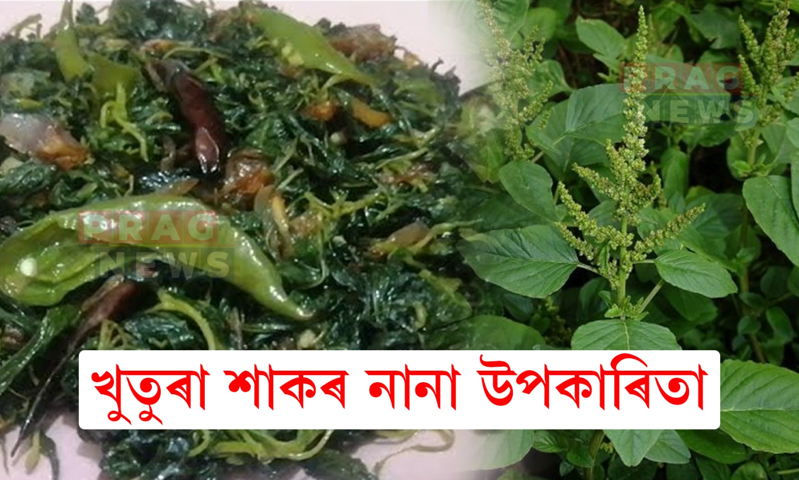 খুতুৰা শাকৰ আছে বহু উপকাৰী গুণ; সুস্বাস্থ্য গঢ়াত কৰে সহায়
