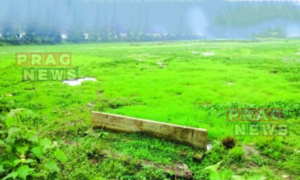 নিমাতীৰ এশ বিঘা মাটিত হোৱা নাই খেতি