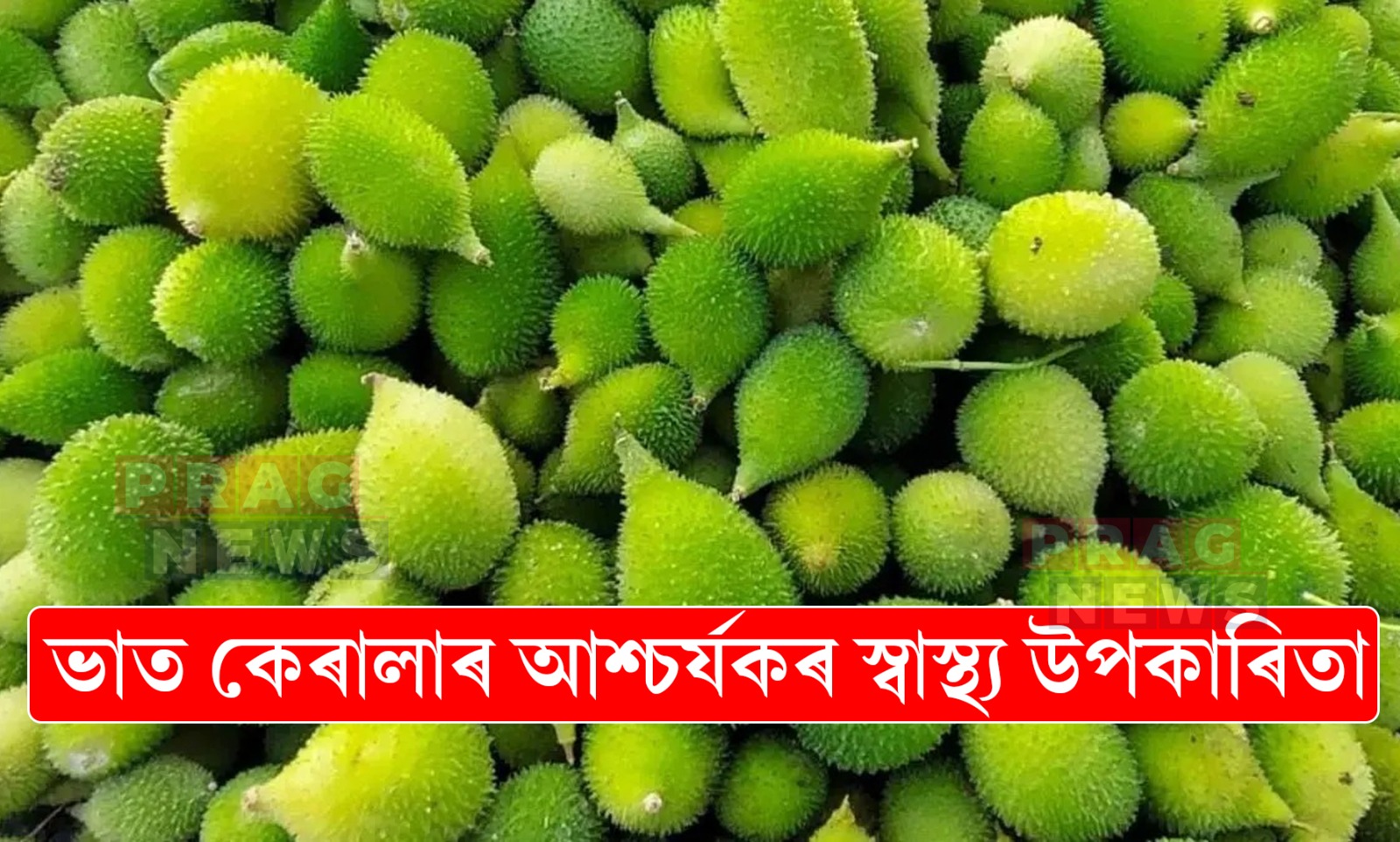 ভাত কেৰালা অতি শক্তিশালী পাচলি; মাংসতকৈও অধিক শক্তি আৰু প্ৰটিন পোৱা যায় ভাতকেৰেলাত