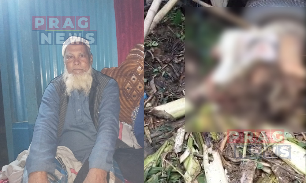 অসম মেঘালয় সীমান্তৰ ফুলবাৰীৰ গোমাইঝোৰাত ভয়ংকৰ পথ দূৰ্ঘটনা: থিতাতে মৃত্যু এজন বৃদ্ধাৰ