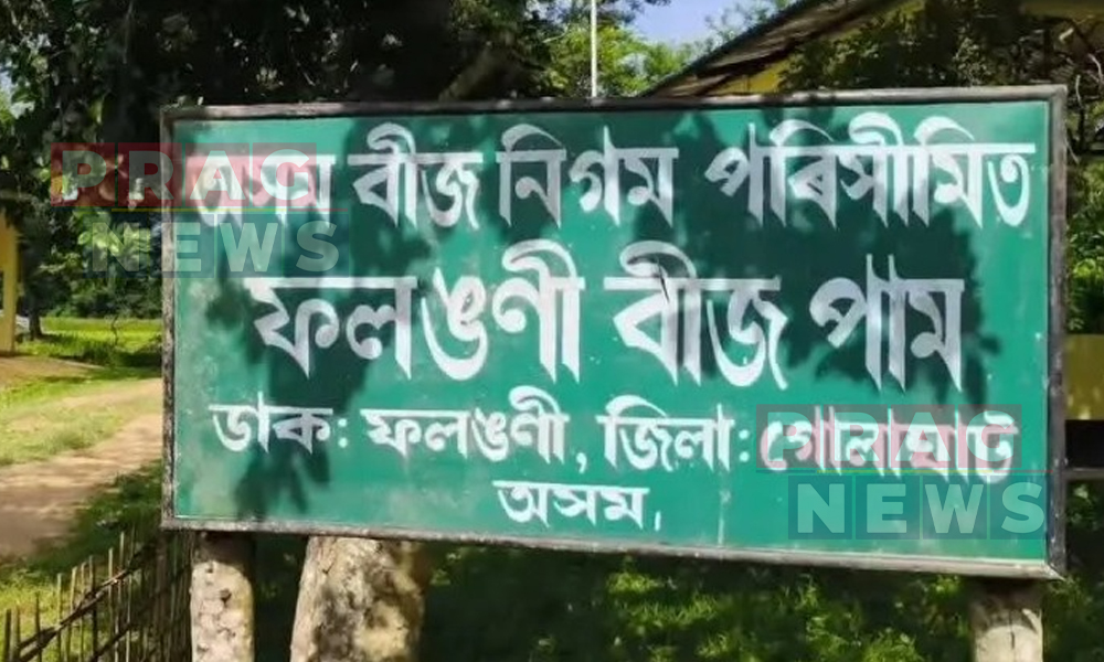 ৰামদেৱৰ পাছত চি আৰ পি এফক গতালে বীজ নিগমৰ ৫০ বিঘা ভূমি