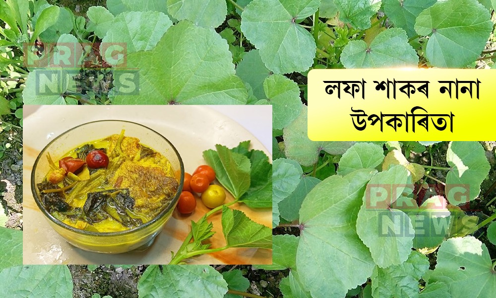 লফা শাকৰ জোল খাই ভালপায়নে? এই শাকৰ আছে নানা আশ্চৰ্যকৰ উপকাৰিতা