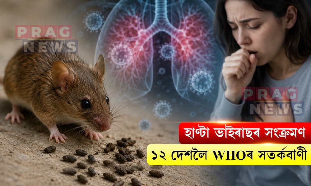 হাণ্টা ভাইৰাছৰ সংক্ৰমণ; ১২ দেশলৈ WHOৰ সতর্কবাণী
