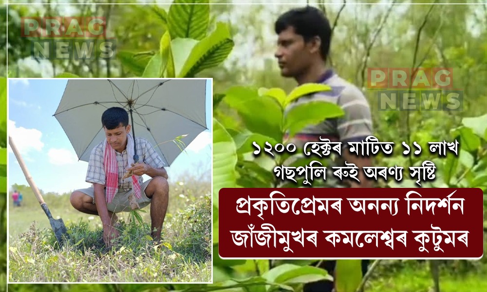 ১১ লাখ ৫০ হাজাৰ গছপুলি ৰোপণ! প্রকৃতিপ্ৰেমৰ অনন্য নিদর্শন জাঁজীমুখৰ কমলেশ্বৰ কুটুমৰ