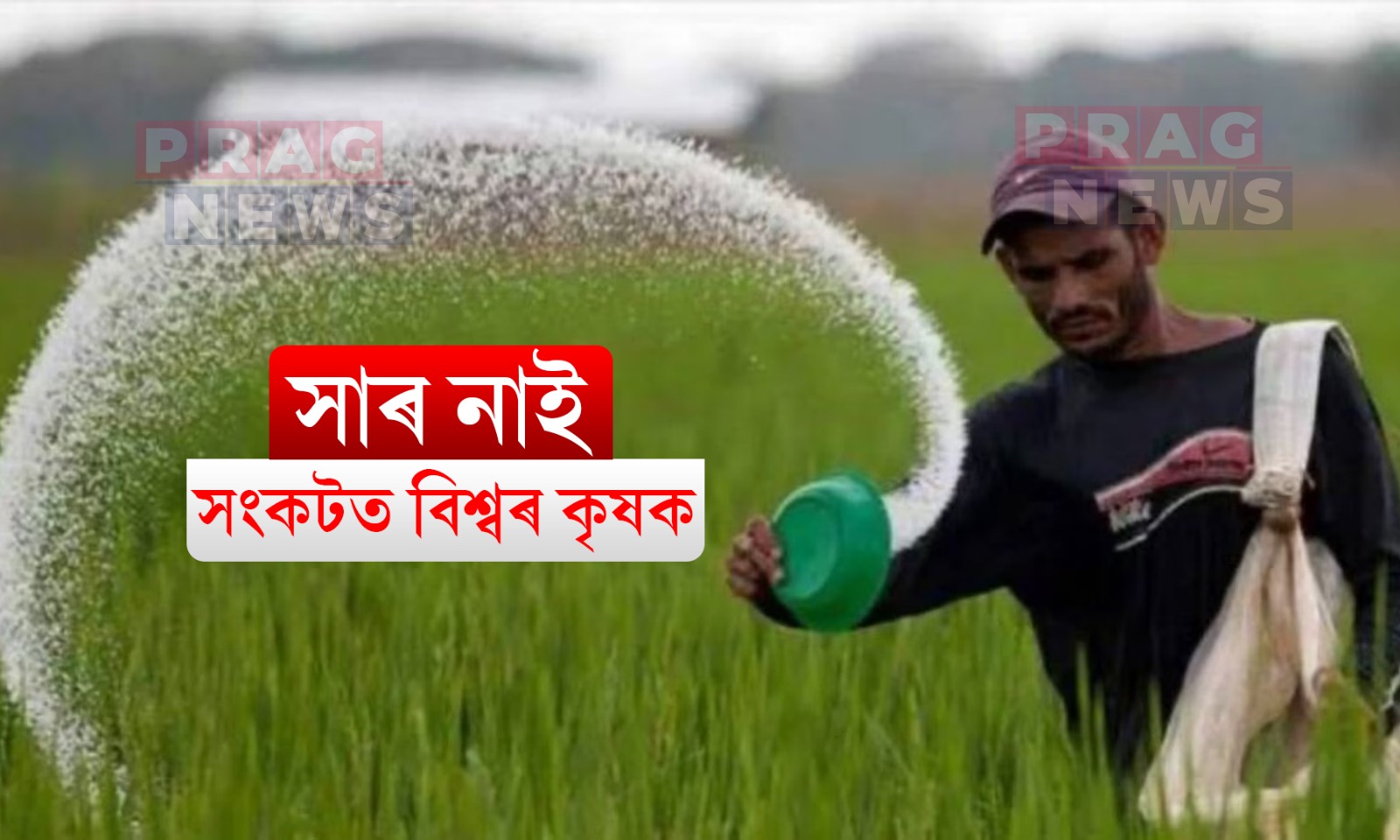 যুদ্ধৰ বাবে সাৰ যোগানত বিৰূপ প্ৰভাৱ; বিশ্বজুৰি কৃষকসকল গভীৰ সংকটৰ সন্মুখীন