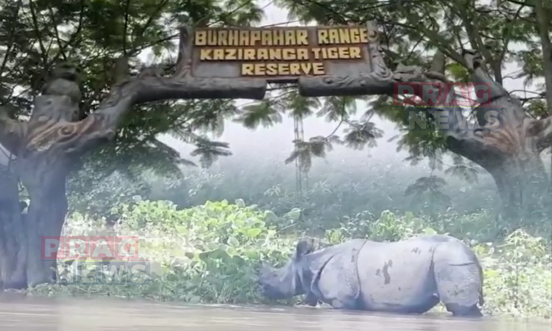 Kaziranga National Park Authorities Finalise Preparations to Tackle Impending Monsoon Floods