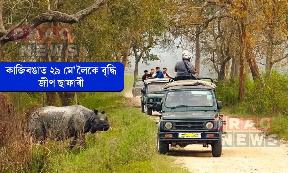 কাজিৰঙাত ২৯ মে’লৈকে বৃদ্ধি জীপ ছাফাৰী