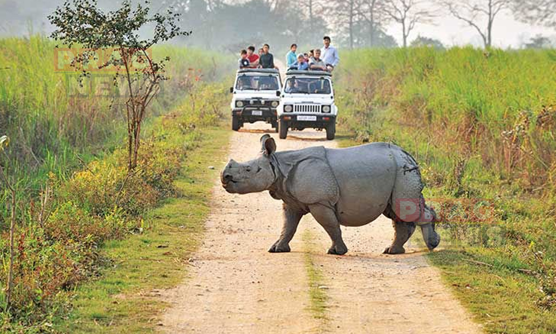 Kaziranga National Park Extends Jeep Safaris until May 29 ahead of Monsoon Season