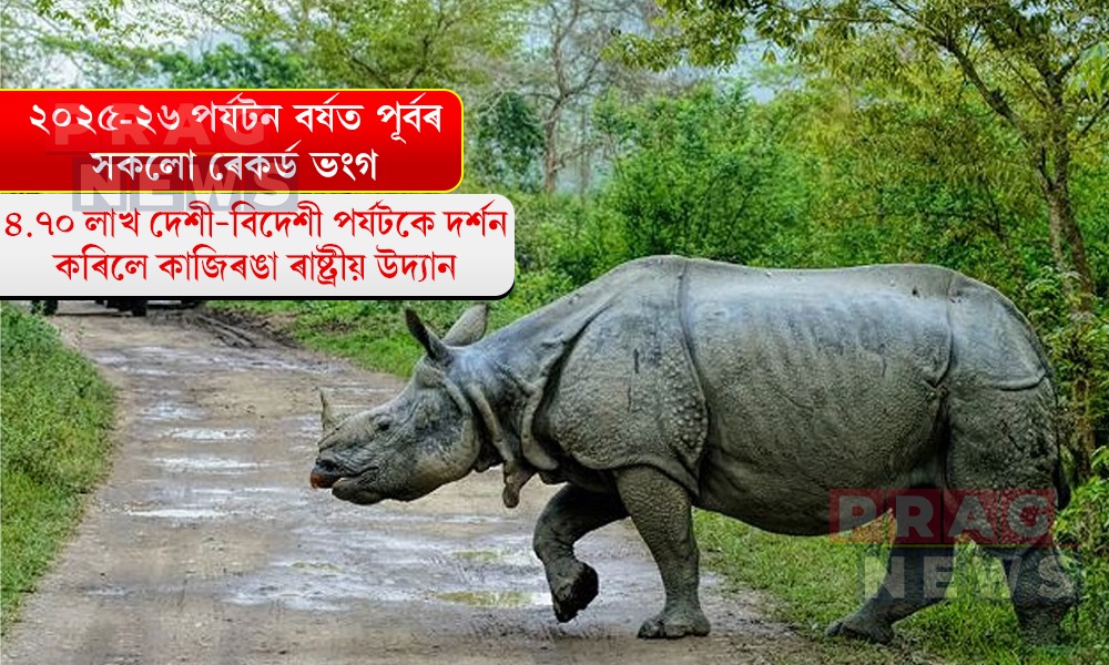 ৪.৭০ লাখ দেশী-বিদেশী পৰ্যটকে দৰ্শন কৰিলে কাজিৰঙা ৰাষ্ট্ৰীয় উদ্যান
