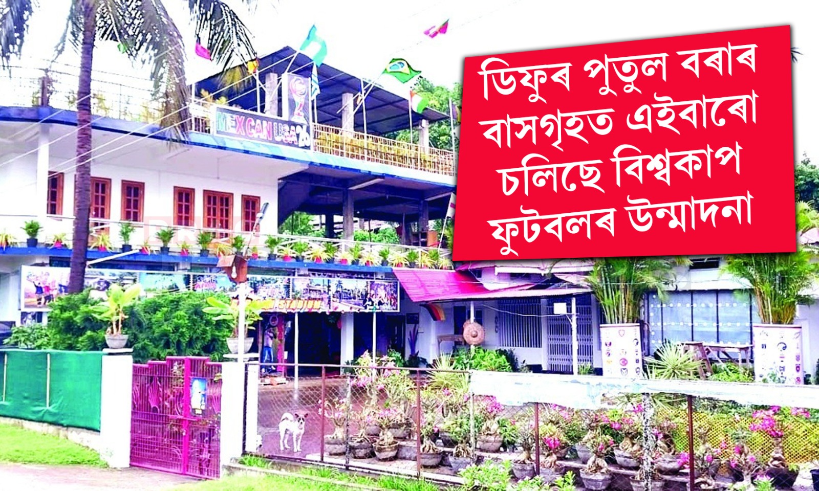 ফুটবল জ্বৰত আক্ৰান্ত ডিফু! পুতুল বৰাৰ বাসগৃহত এইবাৰো চলিছে বিশেষ আয়োজন