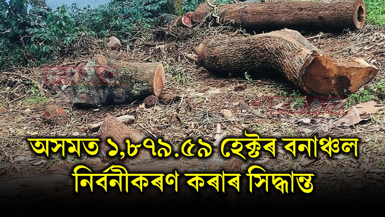 অসমত ১,৮৭৯.৫৯ হেক্টৰ বনাঞ্চল নিৰ্বনীকৰণ কৰাৰ সিদ্ধান্ত