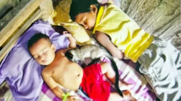 Assam Family's Compassionate Civet Story Enters CBSE Class 10 Syllabus
